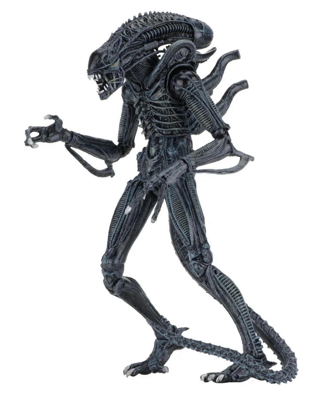 Aliens Ultimate Alien Warrior (1986) Blue Alien 7″ Scale Action Figures - NECA