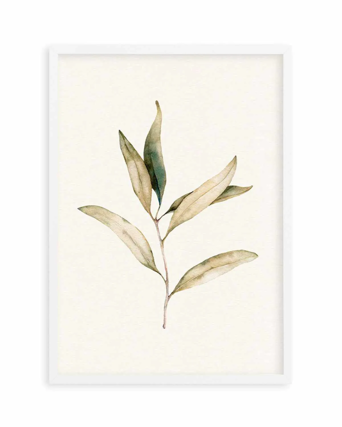 Australian Foliage I Art Print