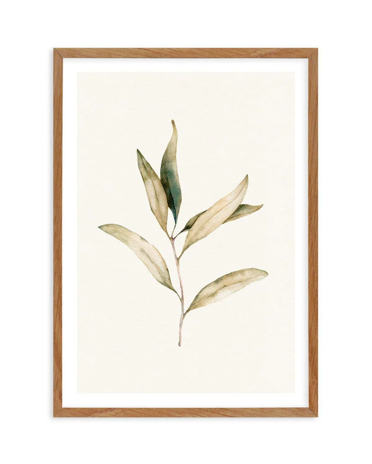 Australian Foliage I Art Print