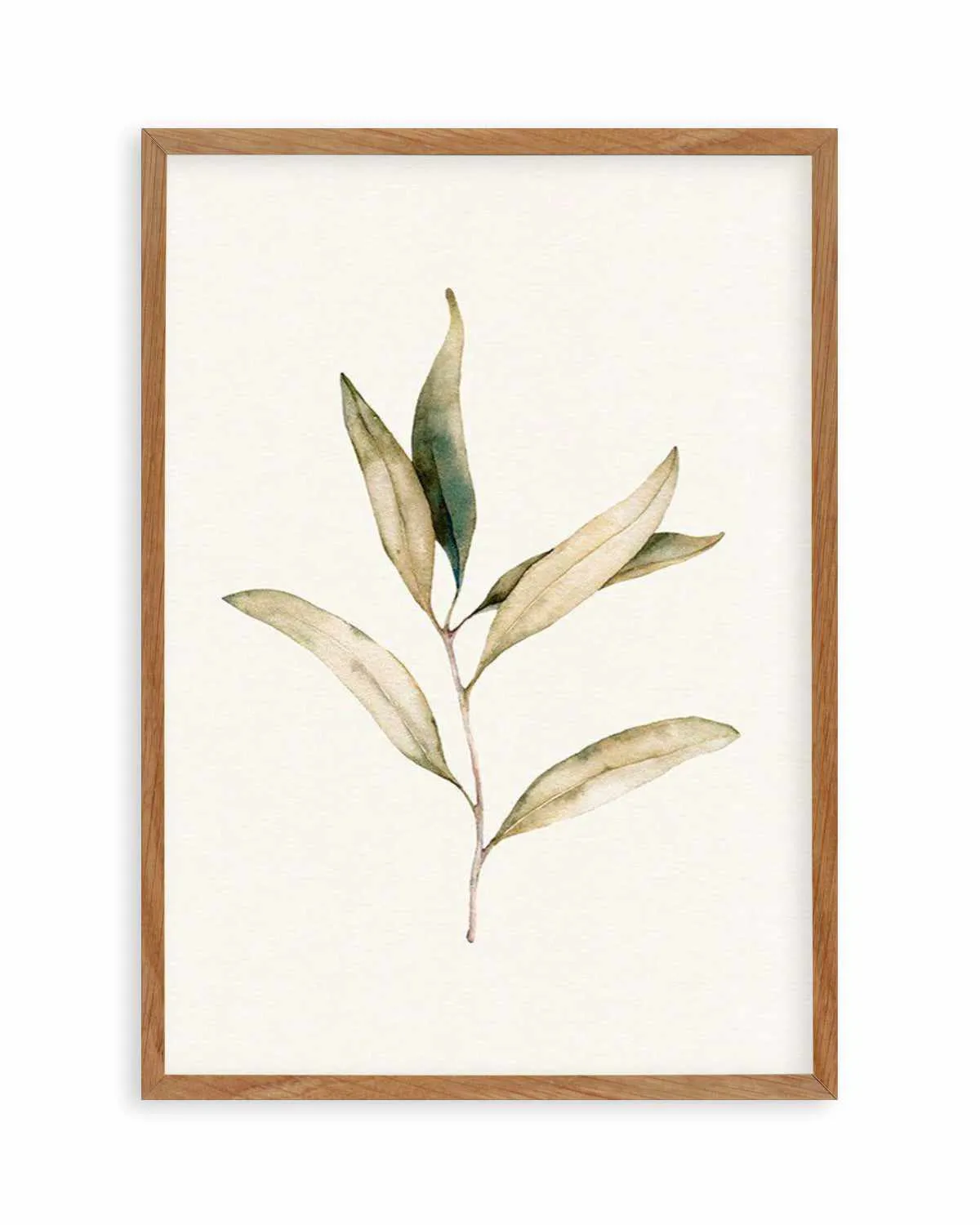 Australian Foliage I Art Print