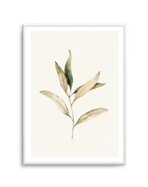 Australian Foliage I Art Print