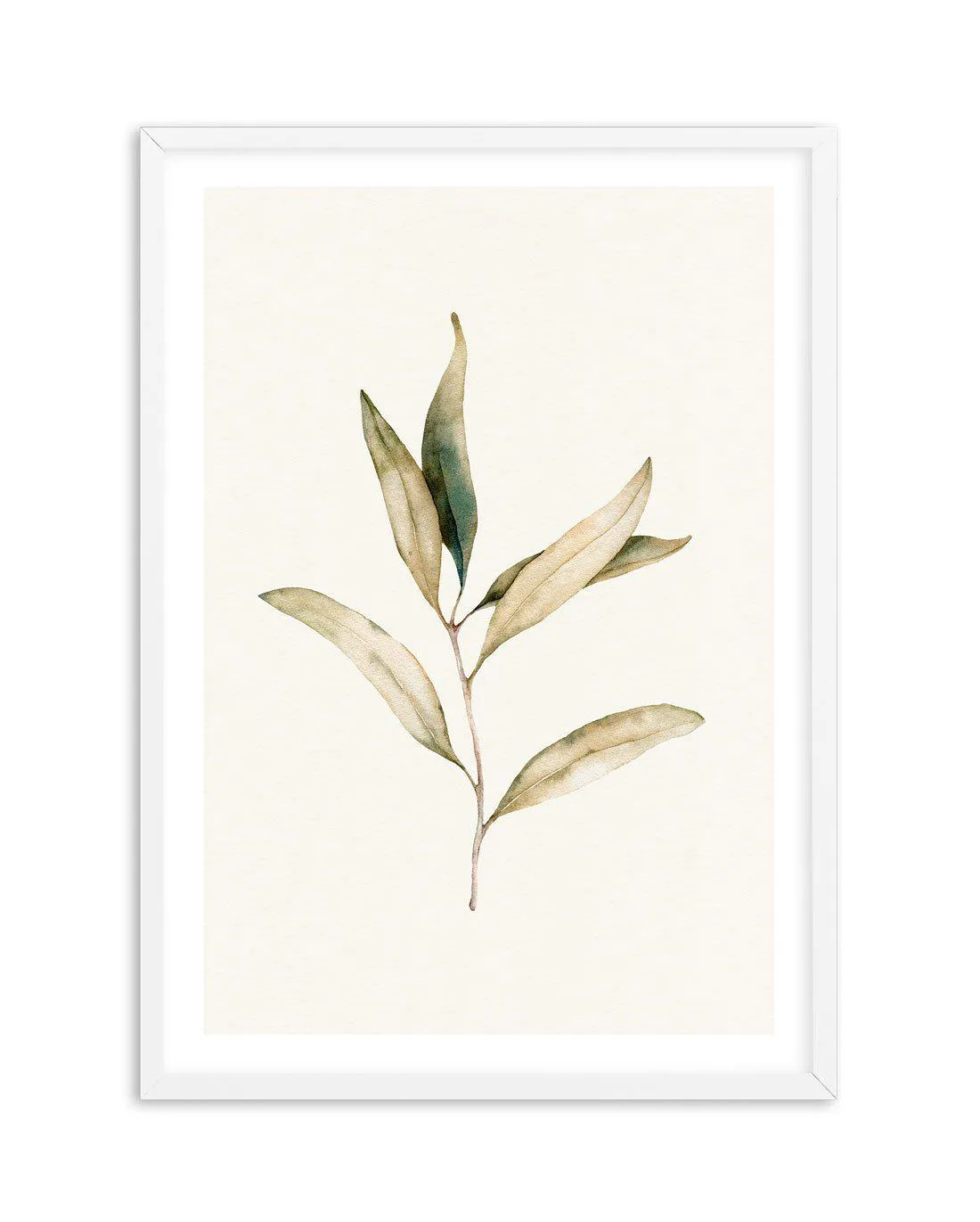 Australian Foliage I Art Print