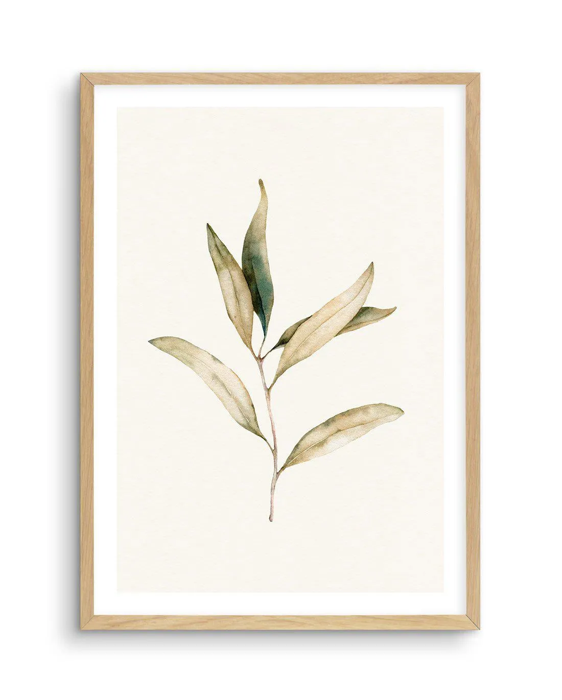 Australian Foliage I Art Print