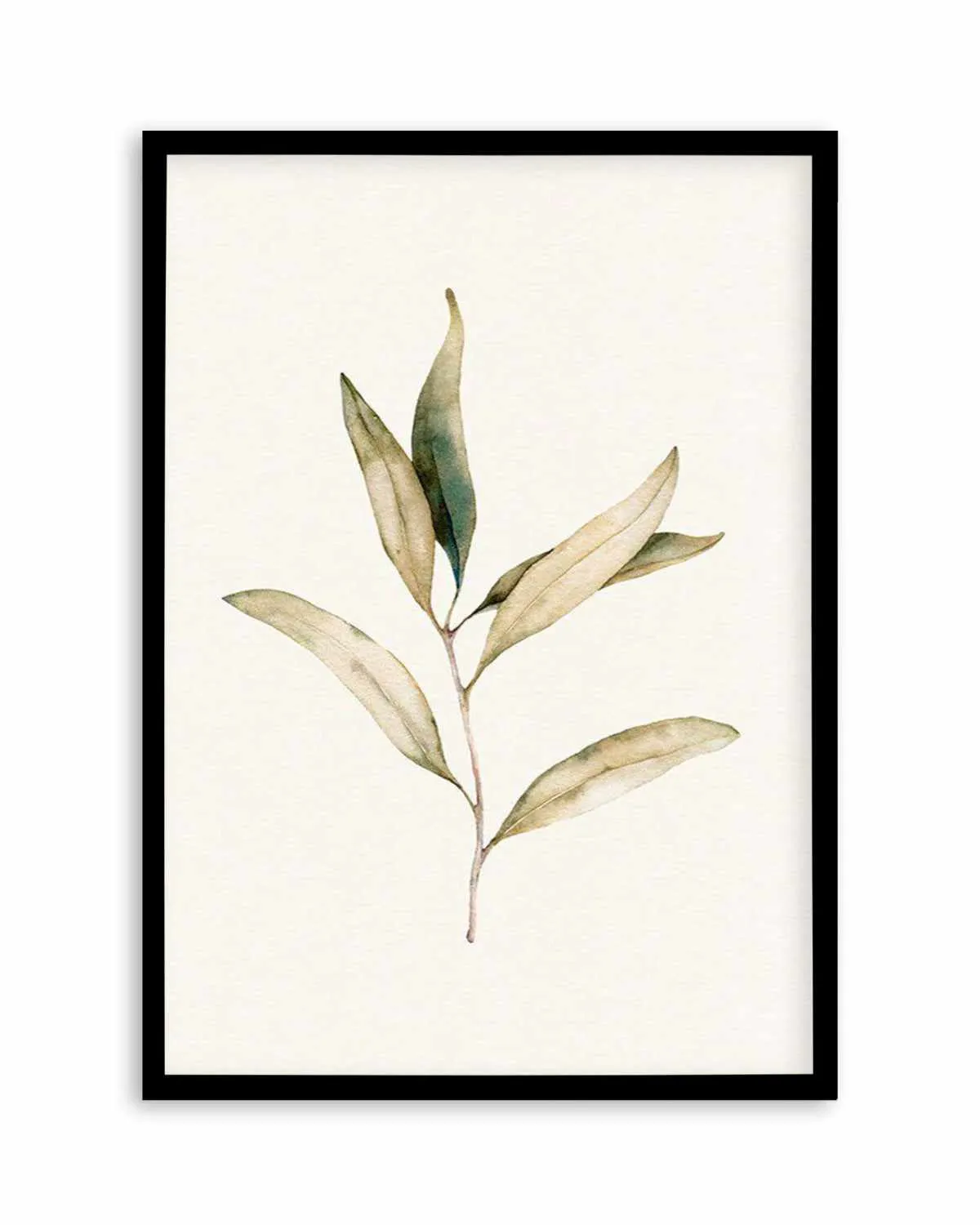 Australian Foliage I Art Print