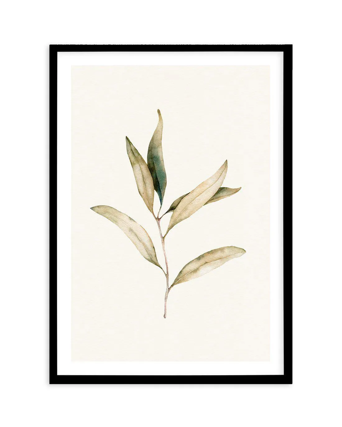 Australian Foliage I Art Print