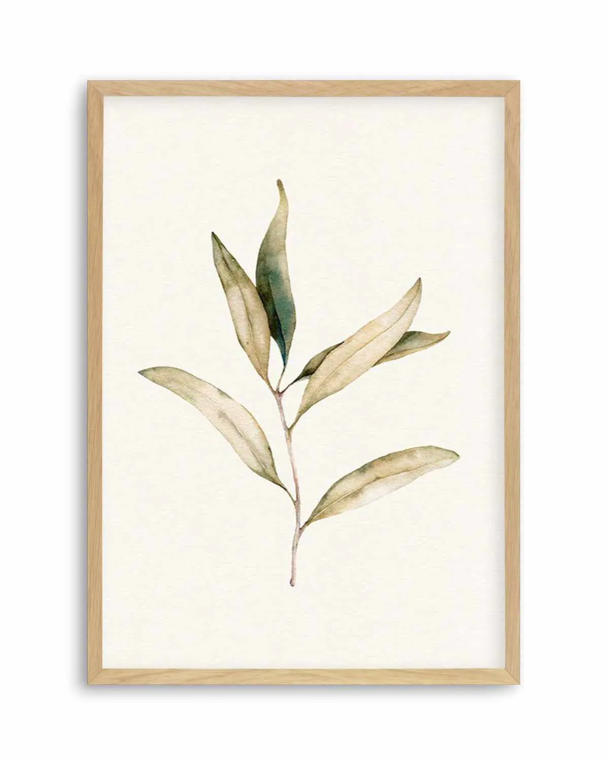 Australian Foliage I Art Print