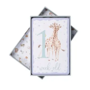 Baby's First Year - Milestone Cards - LTW- MC001