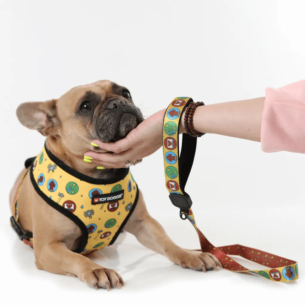 Certified Leg Lifter Premium Dog Leash