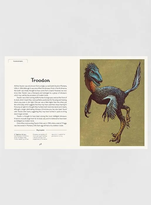 Dinosaurium Hardback Book