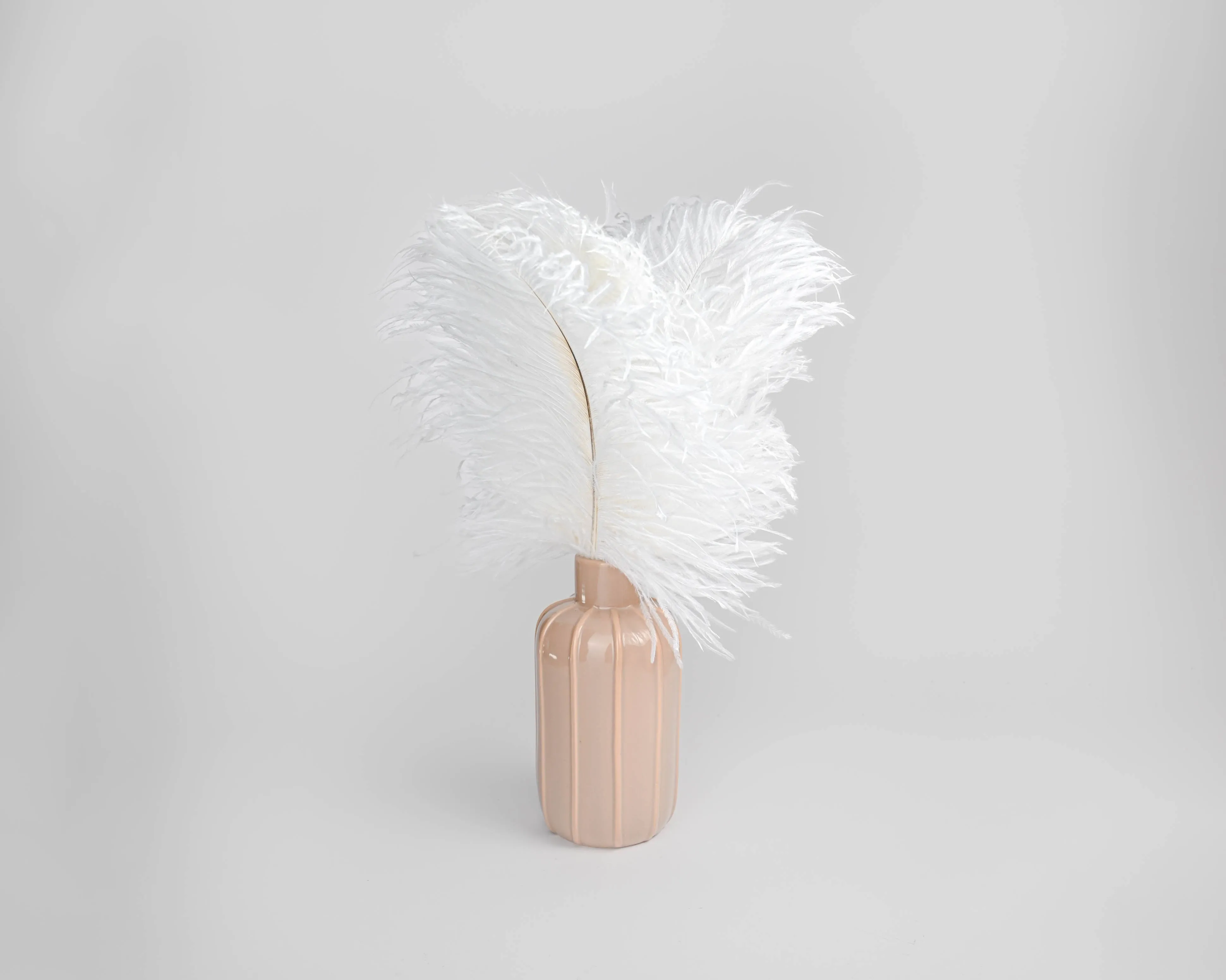 Ostrich Feathers - White Wing Plumes