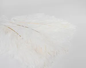 Ostrich Feathers - White Wing Plumes