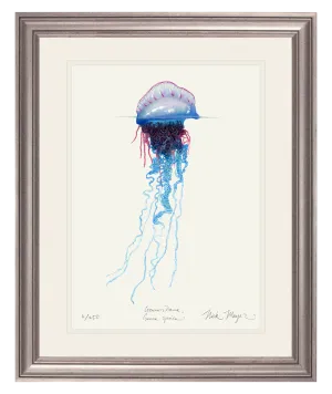 Portuguese Man O' War Print