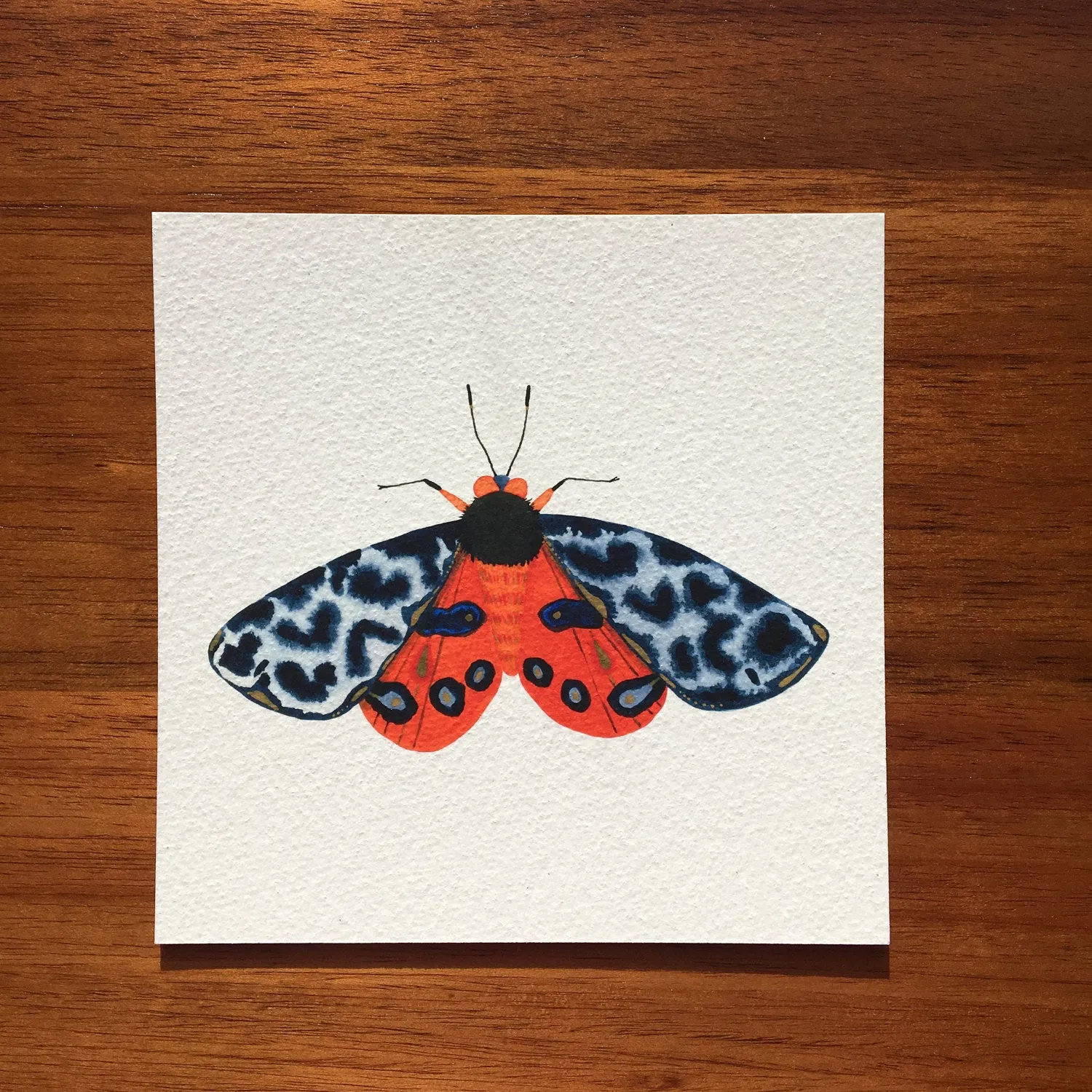 Tiger Moth: Integrity  / Art Print